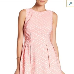 Donna Ricco 10 Pleated Fit-and-Flare Dress